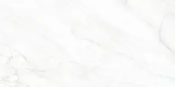 Sample - Arke White 12x24 Sugar Polished Porcelain Tile