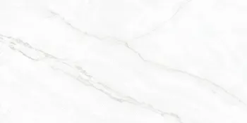 Arke White 24x48 Matte Porcelain Tile
