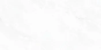 Arke White 24x48 Matte Porcelain Tile