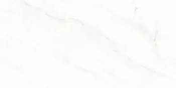 Sample - Arke White 24x48 Matte Porcelain Tile