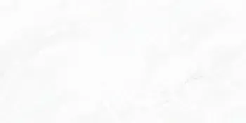 Sample - Arke White 24x48 Matte Porcelain Tile