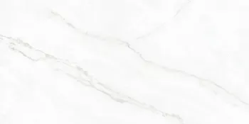 Sample - Arke White 24x48 Matte Porcelain Tile