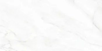Arke White 24x48 Sugar Polished Porcelain Tile