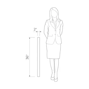 Black Pulpis 1 2x36 Black Polished Strip