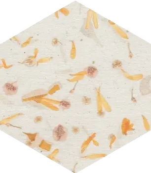 Bloom Multicolor 5x6 Semi - Matte Hexagon Ceramic Wall Tile