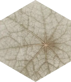 Sample - Bloom Multicolor 5x6 Semi - Matte Hexagon Ceramic Wall Tile