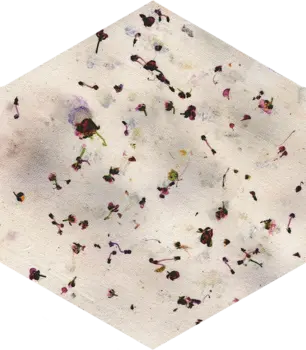 Sample - Bloom Multicolor 5x6 Semi - Matte Hexagon Ceramic Wall Tile