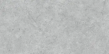 Nark Gray 24x48 Matte Porcelain Tile