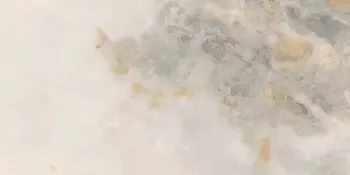 Onice Bianco 24x48 Polished Porcelain Tile