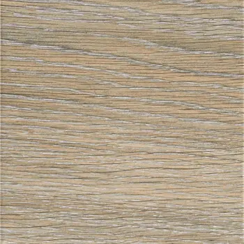 Patch Natural 8x8 Matte Porcelain Tile
