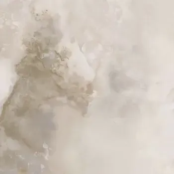 Sample - Onice Bianco 24x24 Matte Porcelain Tile