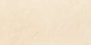 Sample - Plain Stone Beige 12x24 Matte Ceramic Wall Tile