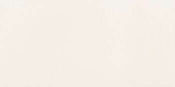 Sample - Satini White 24x48 Satin Ceramic Wall Tile