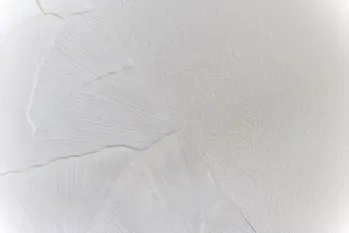 Torino White 12x36 Semi-Matte Ceramic Structure Wall Tile - Element 2