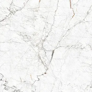 Veneto White 24x24 Matte Structure Porcelain Tile