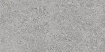 Zimba Light Gray 24x48 Matte Stone Look Structure Porcelain Tile